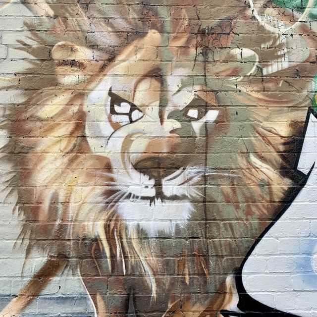 Fitzroy. A haven for street art lovers