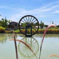 คาเฟ่หลากหลายกิจกรรมในปทุมธานี​