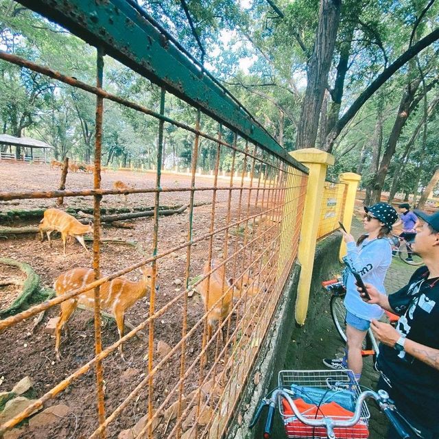 ZOO RAGUNAN