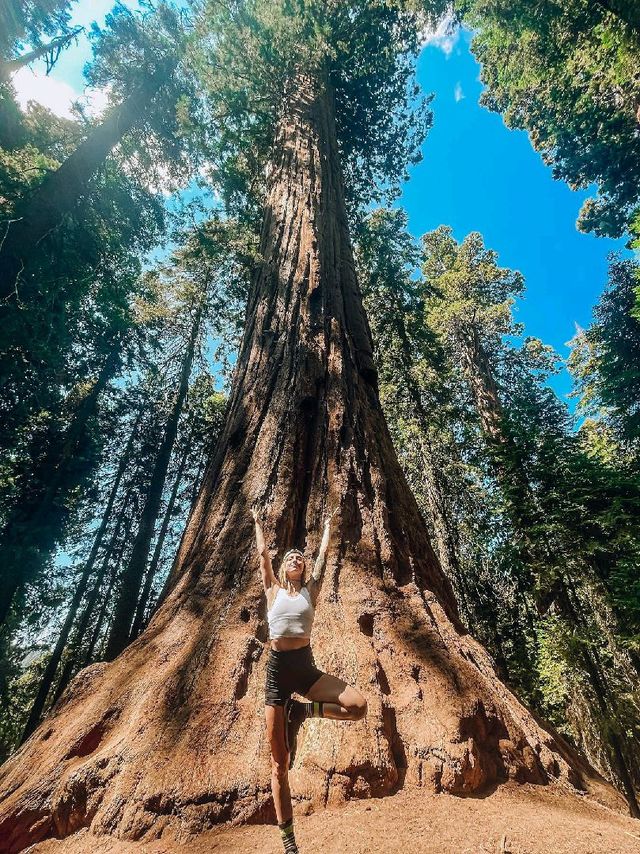 Sequoia National Park