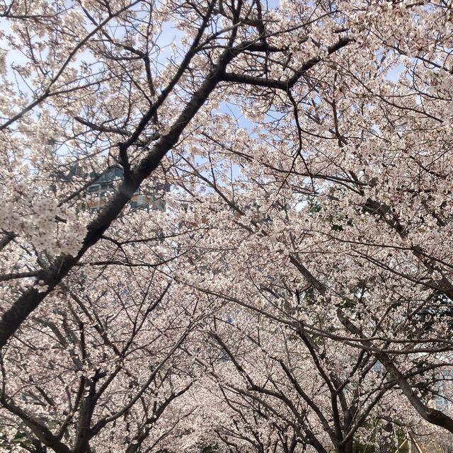 김해 연지공원