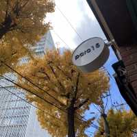 [용산 은행나무뷰 카페, ‘파크15’]