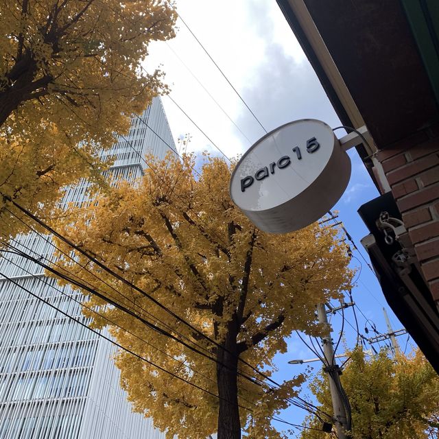 [용산 은행나무뷰 카페, ‘파크15’]