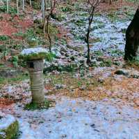 【神奈川県】報国寺
