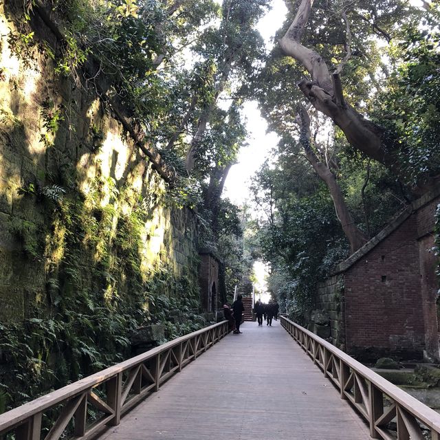 【神奈川】無人島・猿島探検！