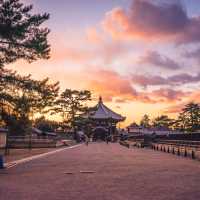 奈良に行ったら行きたいスポット 興福寺