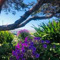 美國貝伍德公園（Baywood park)