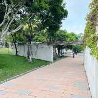 賞花攻略 大埔海濱公園