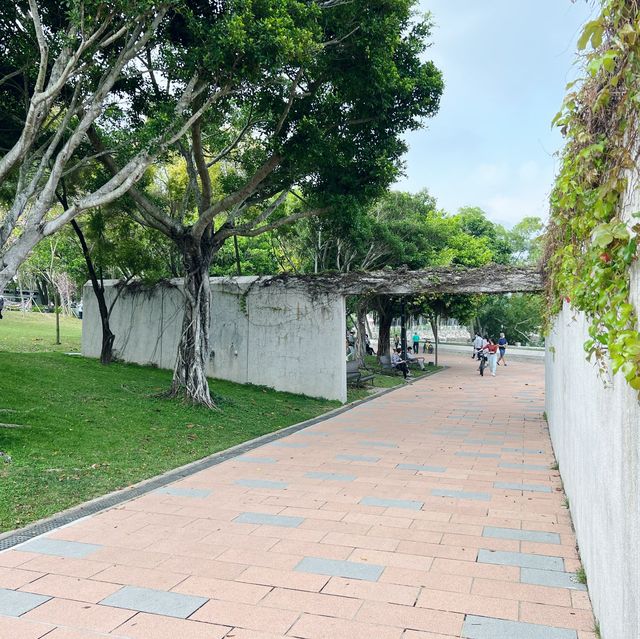 賞花攻略 大埔海濱公園