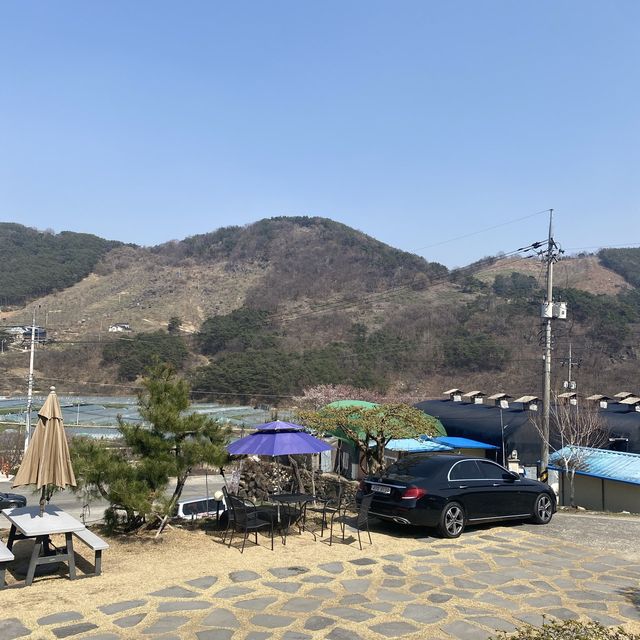 봄하면 미나리, 미나리하면 청도, 미나리는 삼겹살과 [한재마실]