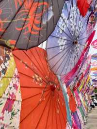 元朗信芯園重開，全新嘅日本🇯🇵主題打卡勝地