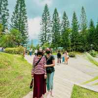 Be FINE with PINE TREES in Tagaytay!