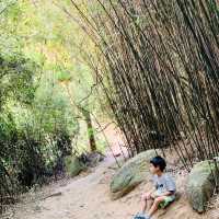 港版嵐山竹林之道