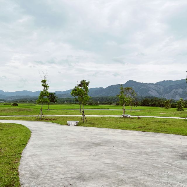 悠閒舒服小秘境｜鹿野鄉公所公園｜拍照起來好美麗