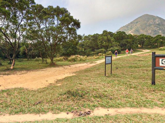 昂坪大草原· 馬鞍山-新手行山路徑