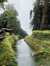 Alishan - Shenmu station 