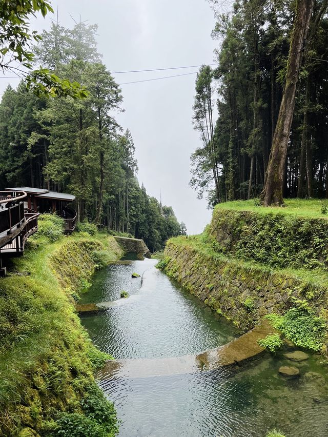 Alishan - Shenmu station 