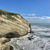 뉴질랜드 남섬의 최북단! 케이프 페어웰🌊✨