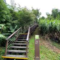 二延平登山步道，位於阿里山隙頂，全長1.1K，途中經過超美的高山茶園，堪稱網美必訪美拍景