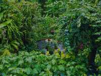 A Wonderland at Kuala Lumpur Butterfly Park 