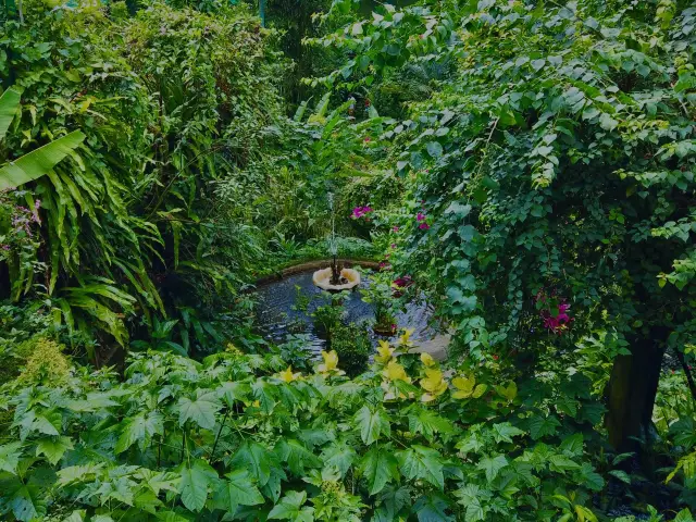 A Wonderland at Kuala Lumpur Butterfly Park 