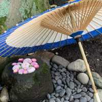 帯広神社夏詣　神秘的な緑の池と花手水🌺