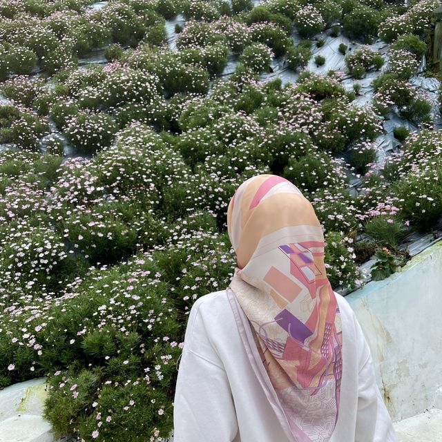 Perfect spot for ootd at Cameron Highland!