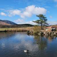 Falling for cute animals in Yamanami Farm