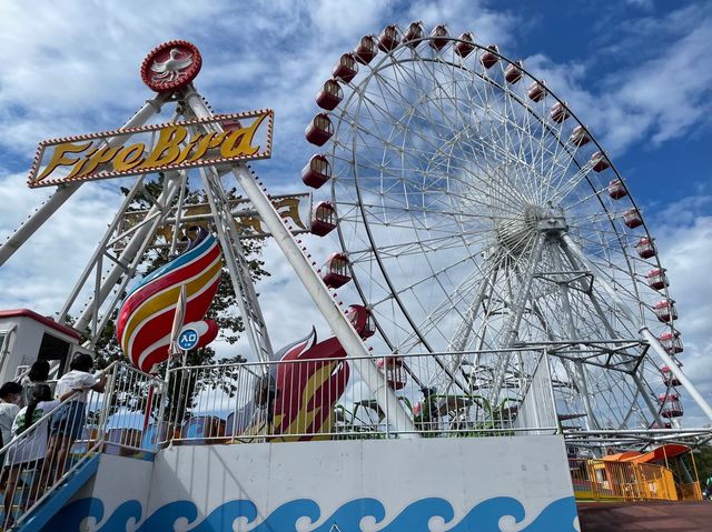 小さい子向きな遊園地！🎡