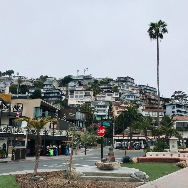 Beautiful offshore island near Los Angeles