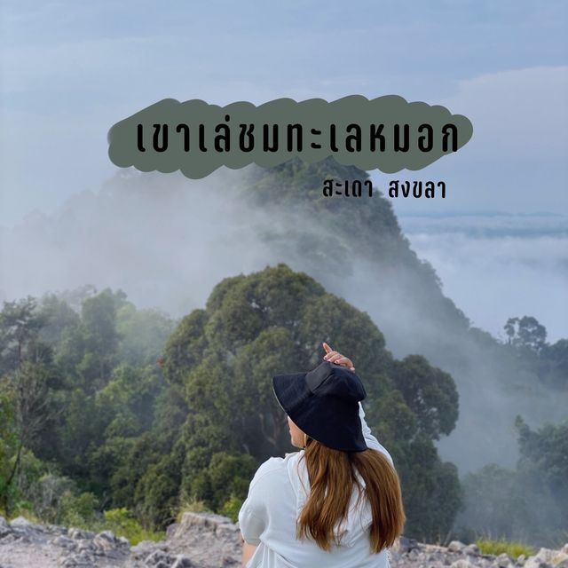 ขึ้นเขาเล่ ไปชมทะเลหมอกยามเช้า