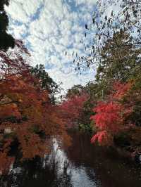 大分の紅葉🍁