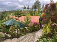 White Hills View Park