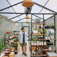 coffee • eatery • plant