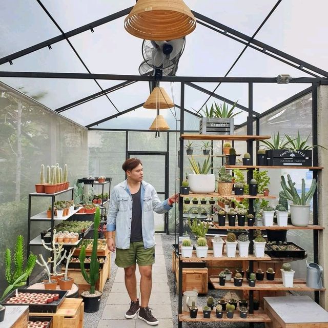 coffee • eatery • plant