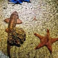Aquaria Phuket 