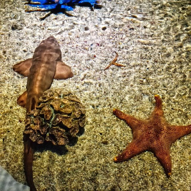 Aquaria Phuket 