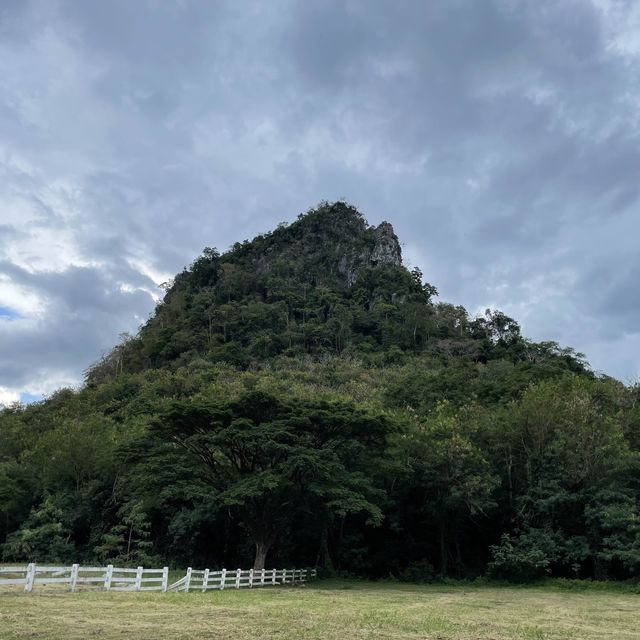 Big mount ครัวภาคกลาง เขาใหญ่