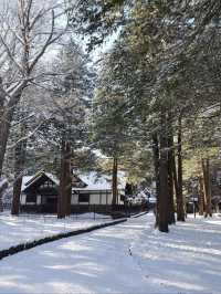 鋪蓋住白雪嘅北海道神宮