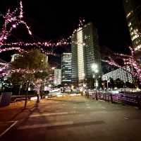 【五反田】目黒川沿いのイルミネーション