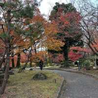 Arashiyama park