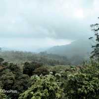 Trip to paradise land in South India -Kerala