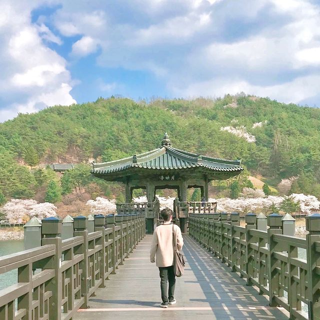 [안동] 가볼만 한 곳, 여행지 추천