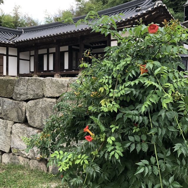 [꿈의 숲] 창녕위궁재사