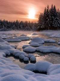 Tongass National Forest