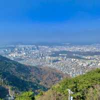 [🇰🇷, 대구] 떠오르는 핫플, 대구 앞산공원 전망대 🦅