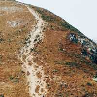 玉桂山