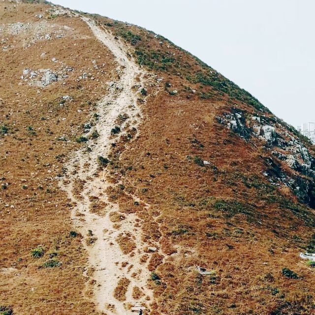 玉桂山