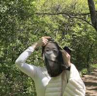 無(무) 등산은 용납 못하는 풍경, 광주 무등산