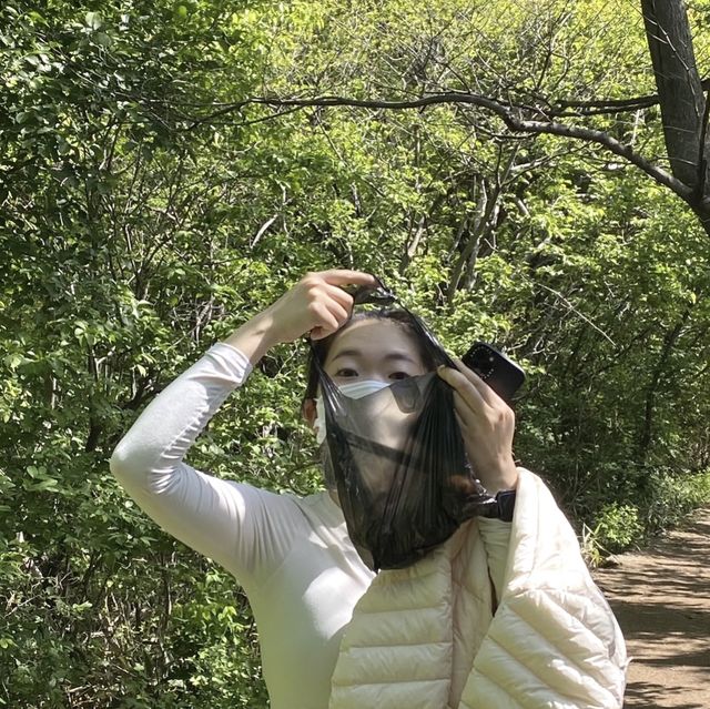 無(무) 등산은 용납 못하는 풍경, 광주 무등산